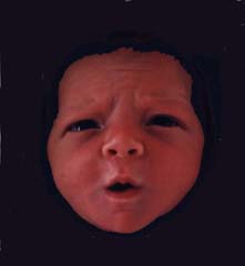 welcome to the world, sunny son of bimble and clarabella